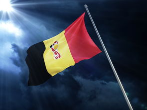 排球赛场焦点！中国队对阵日本队，战况跌宕起伏，悬念直到终场